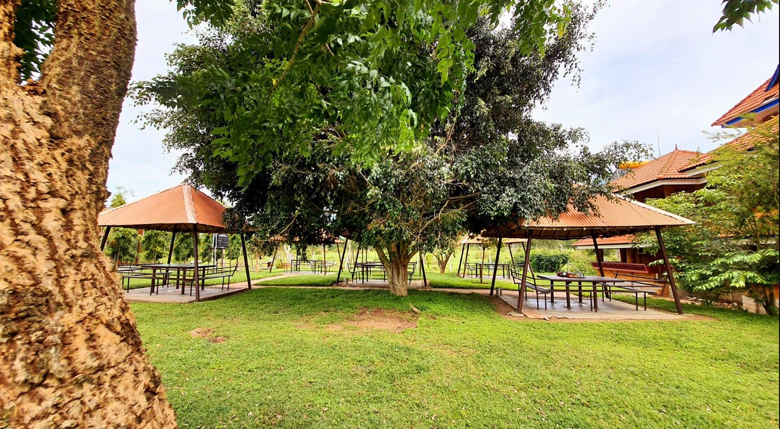 undefined Avadale Masinagudi (Stag, Groups Not Allowed) 4