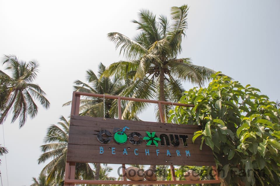 undefined Coconut Beach Farm 7