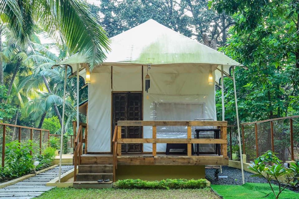 undefined Coconut Beach Farm 5