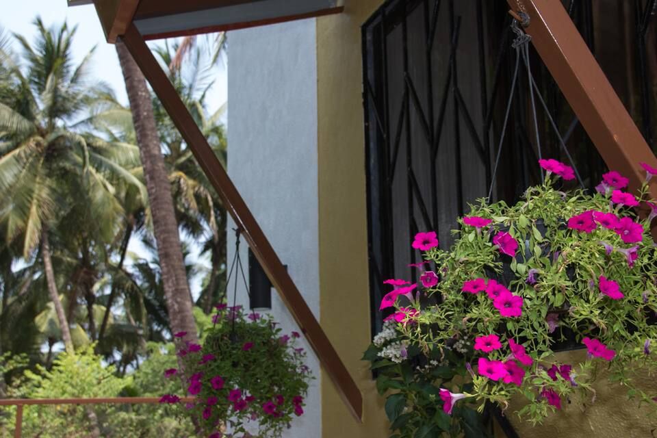 undefined Coconut Beach Farm 9