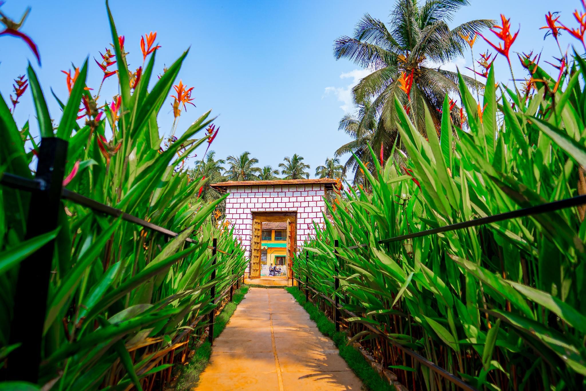 undefined Orange Sky Beach Resort 7