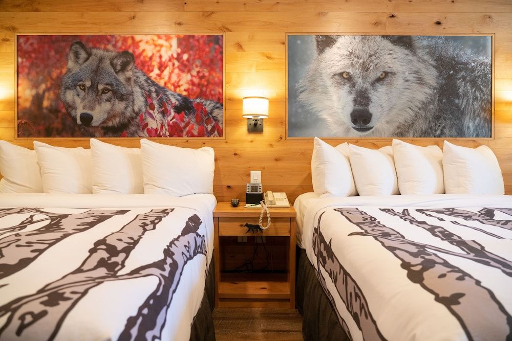 Banff Rocky Mountain Resort Junior Suite, 2 Queen Beds 4