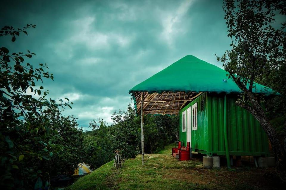 undefined The Pear County