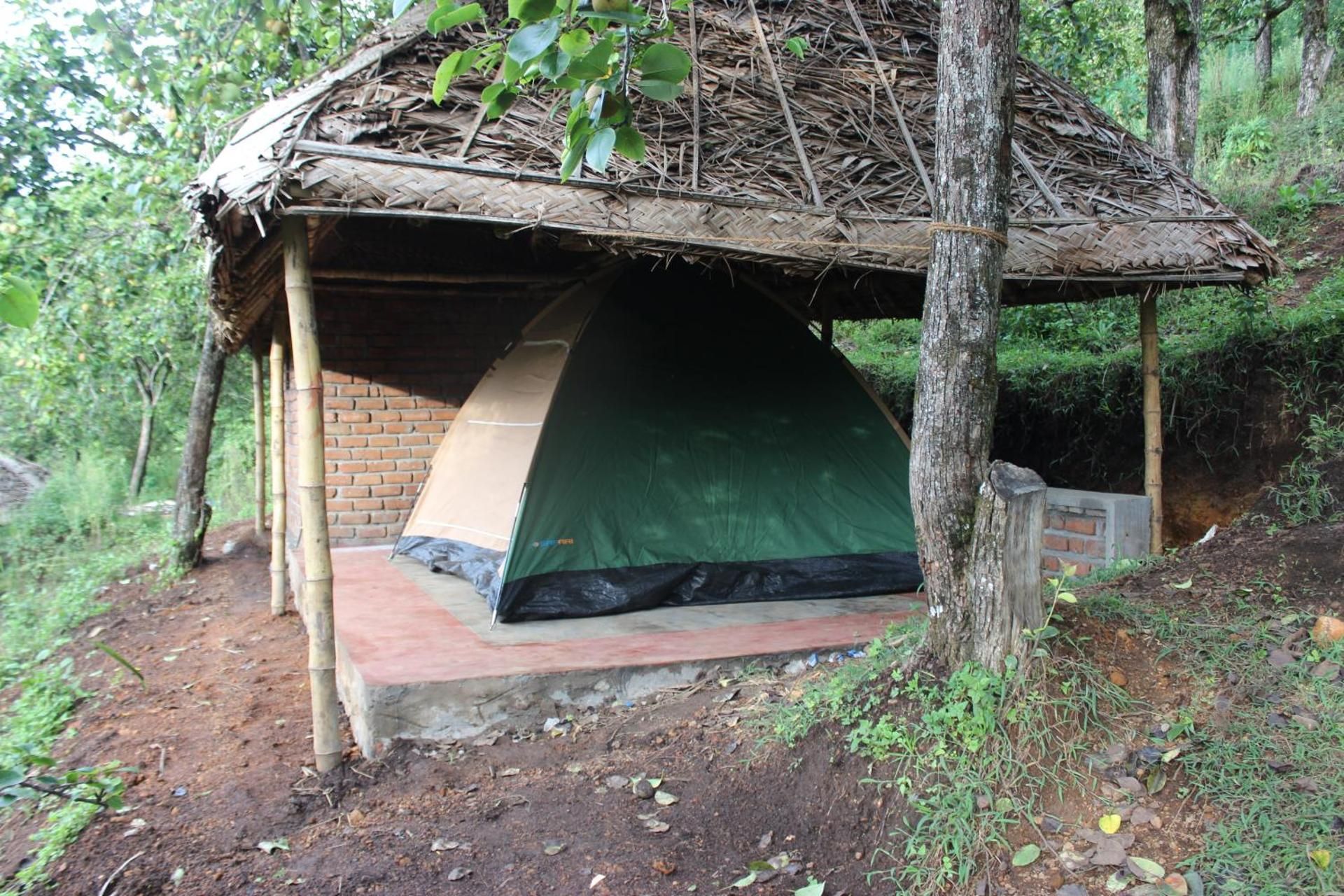 undefined The Pear County 7