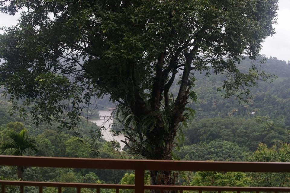 WhatsApp_Image_2021_08_12_at_6_00_29_PM_2__Dk3gs5_proc