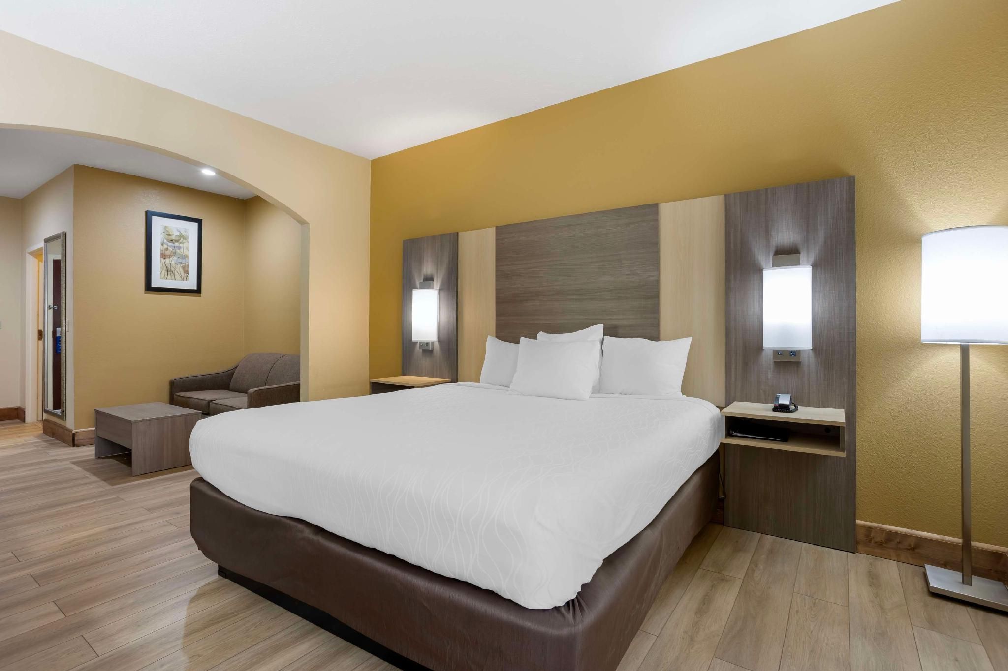 Suite - 1 King Bed, Nonsmoking, Sofa