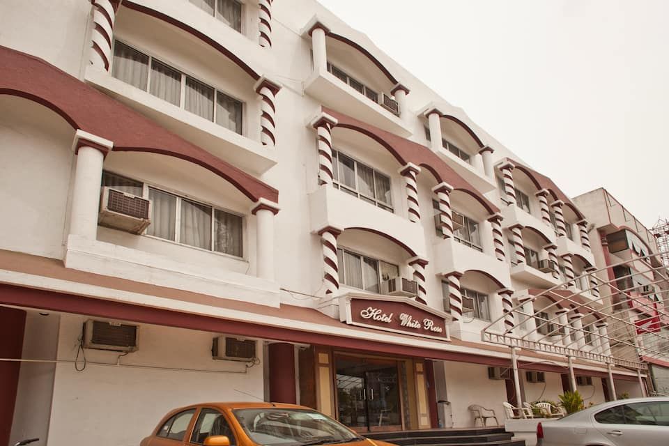 undefined Hotel White Rose 8