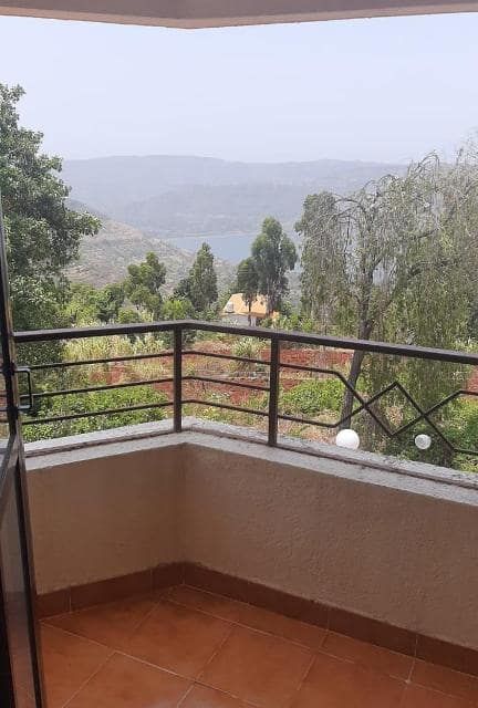 view from the room 