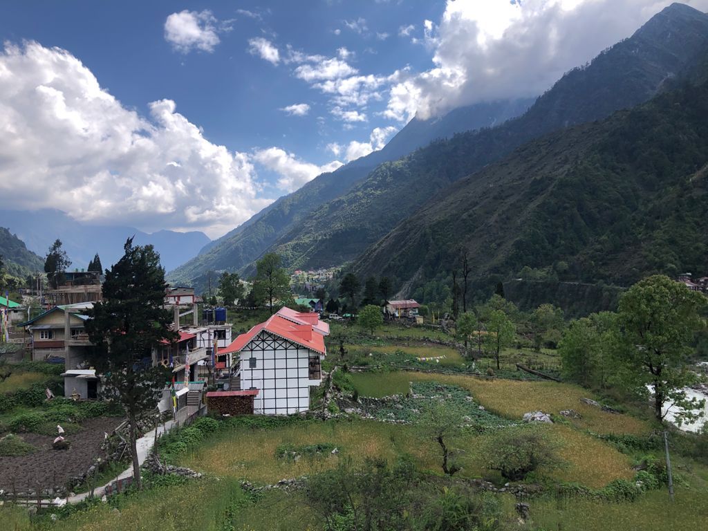 Hotel View