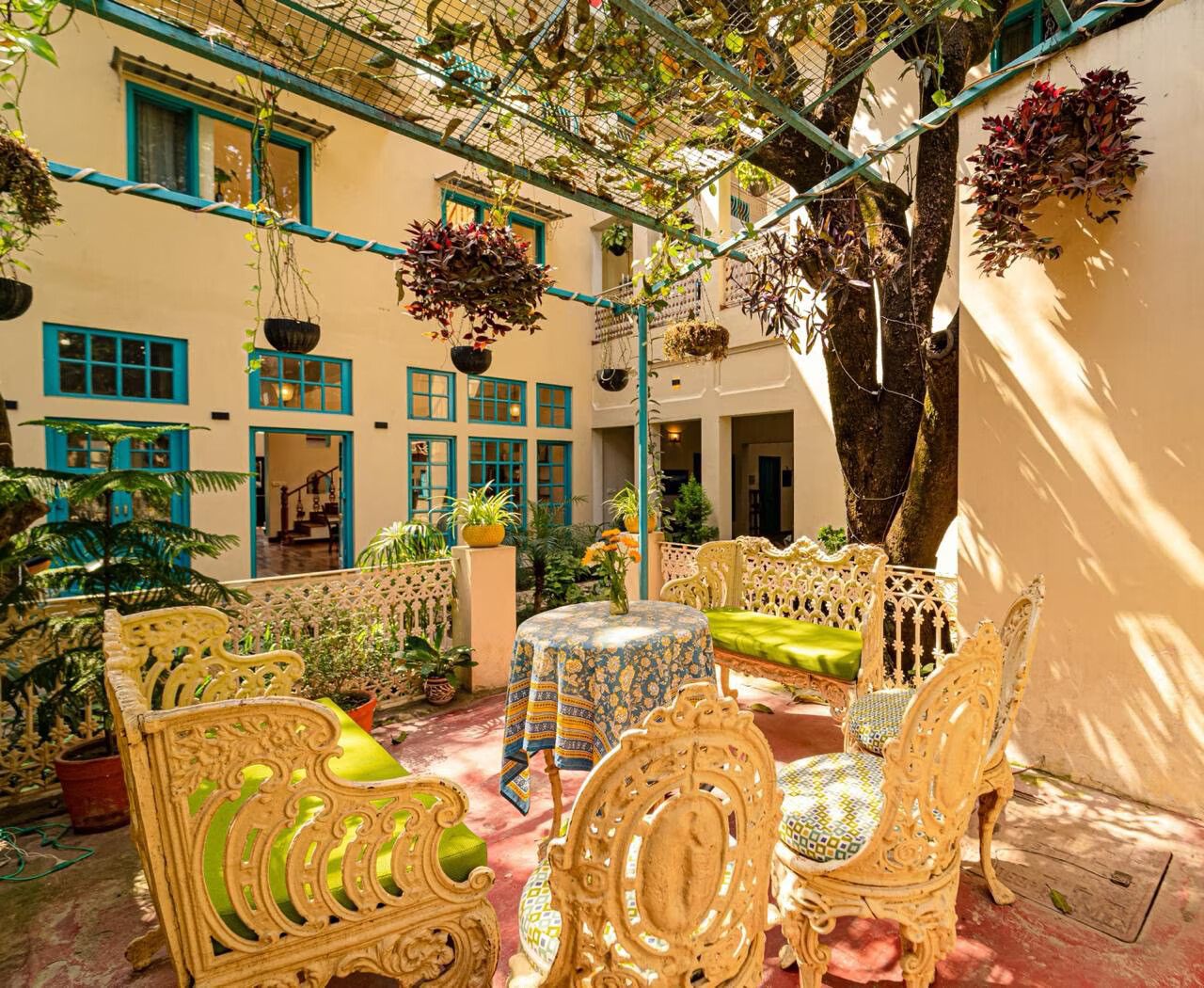 undefined Mango Tree Courtyard 4