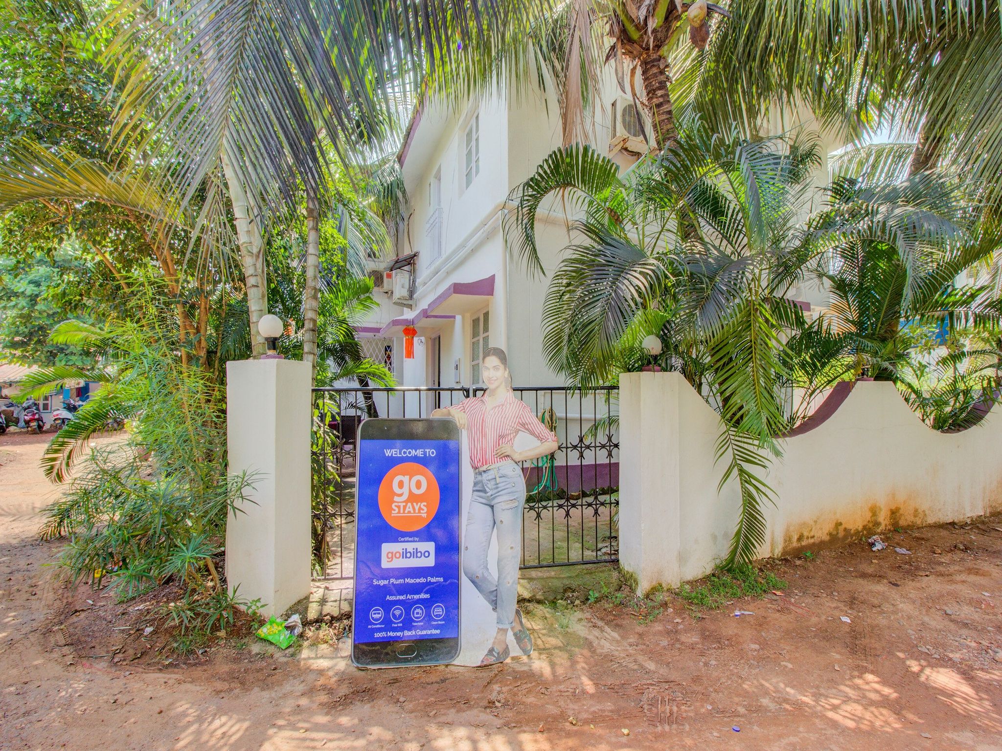 undefined Sugar Plum Macedo Palms 7