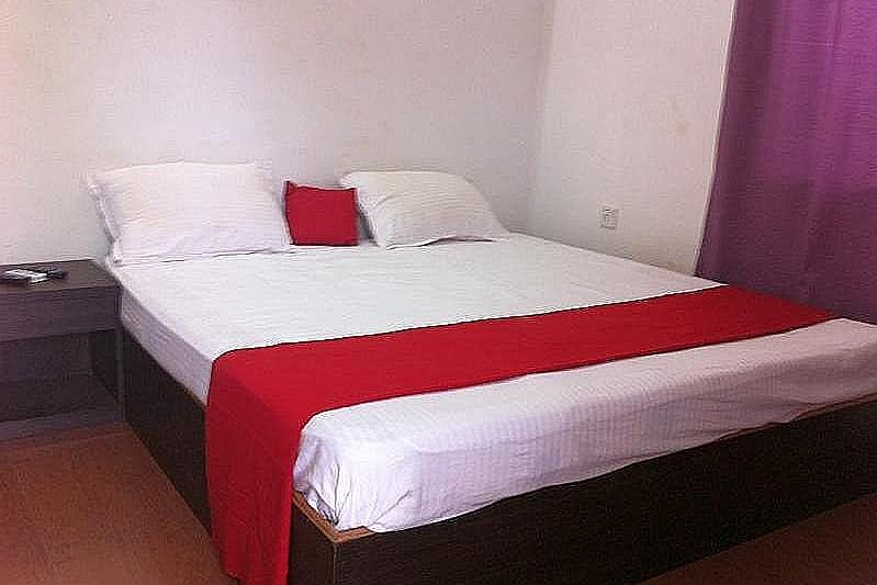 undefined Sugar Plum Macedo Palms 5