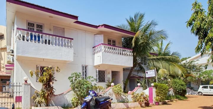 undefined Sugar Plum Macedo Palms