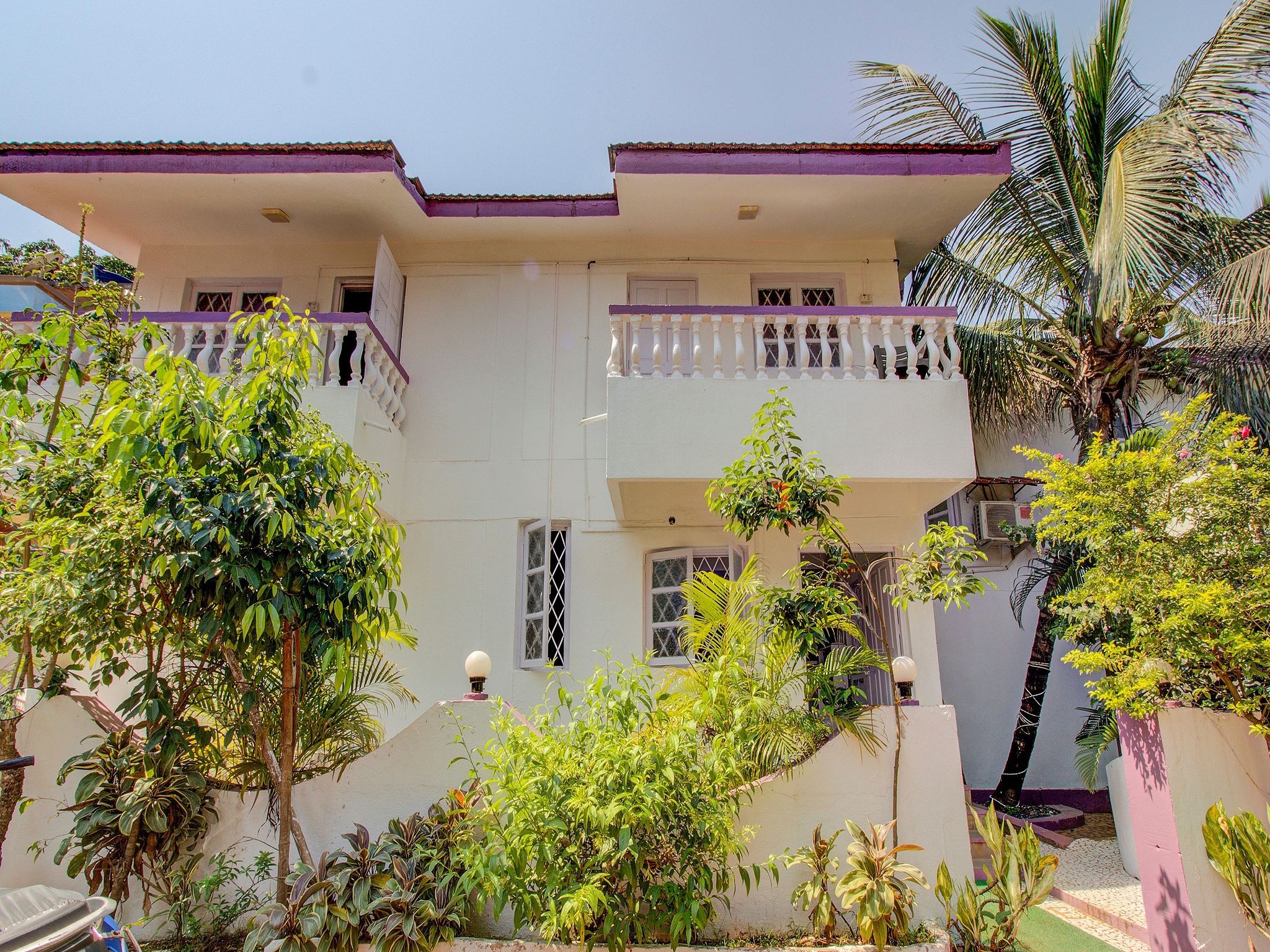 undefined Sugar Plum Macedo Palms 6