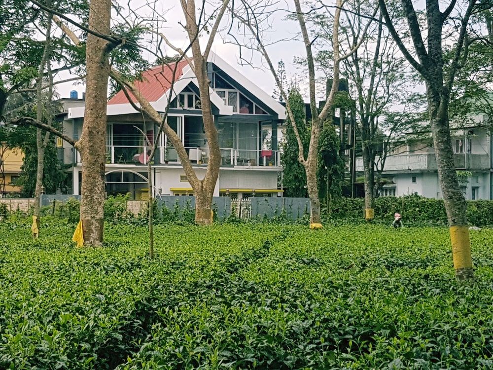 undefined Homestay By the Tea Garden Dibrugarh 10