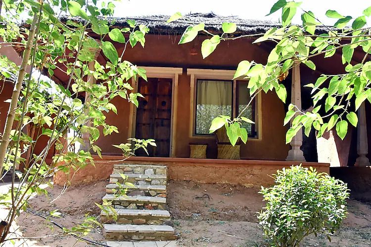 undefined The Earth at Ranthambore 9