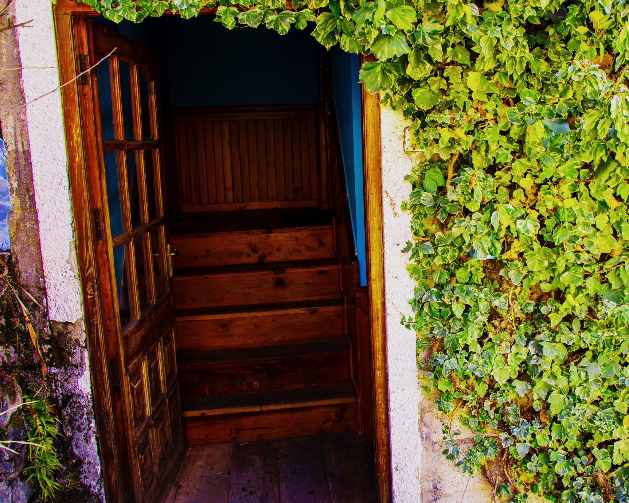 undefined Sukoon Narkanda Cottages 5