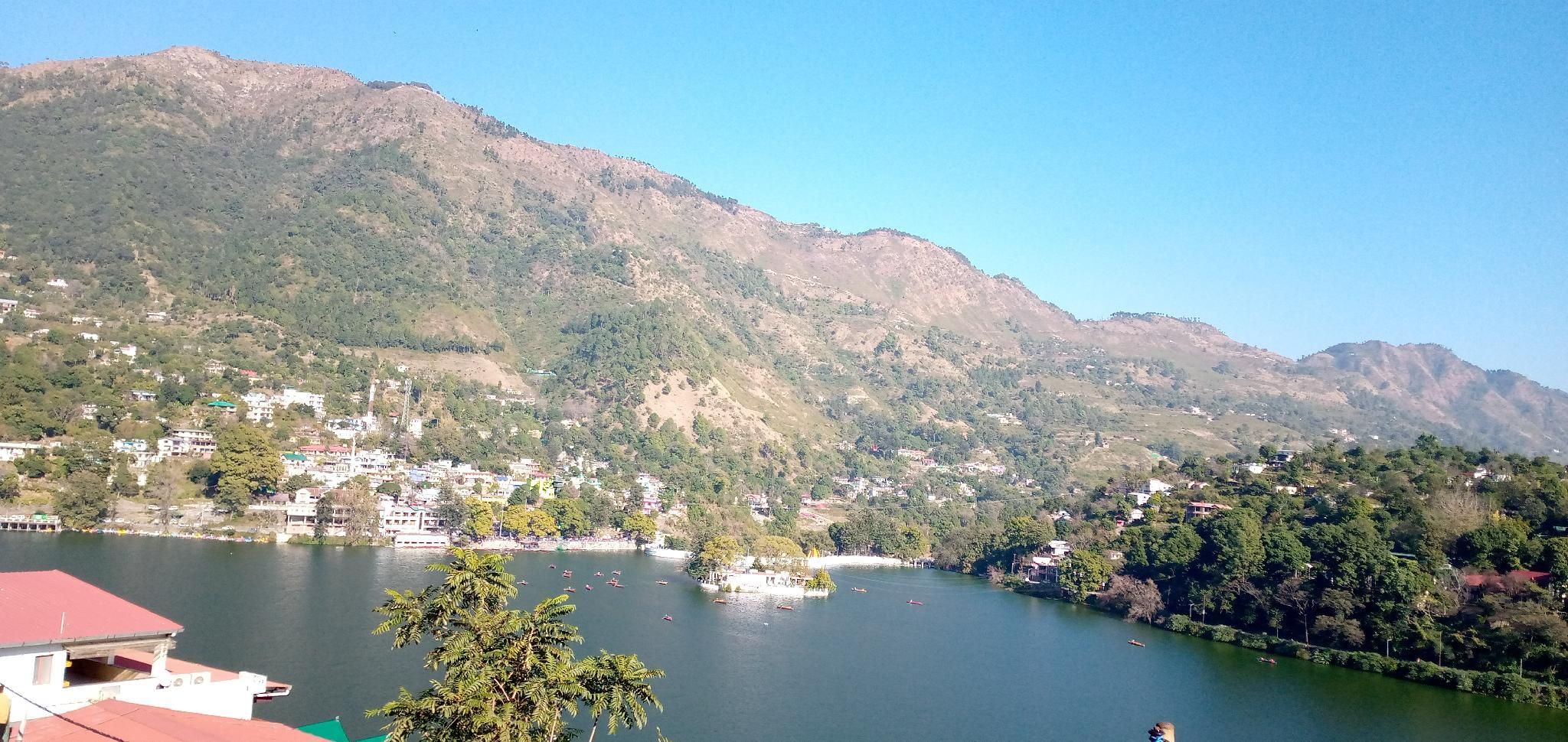 View