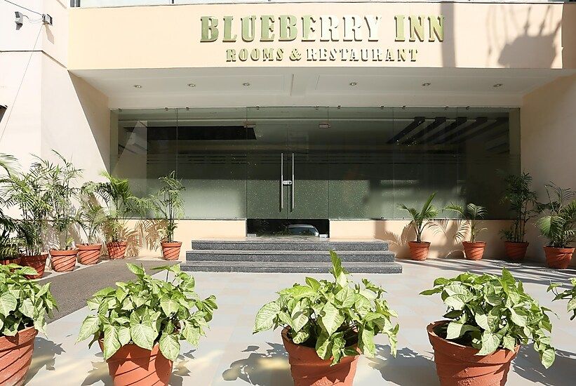 undefined Blueberry Inn 9