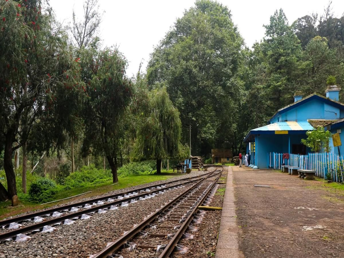 The Byke Select Sunshine Grand (Ooty) Super Deluxe Room 20