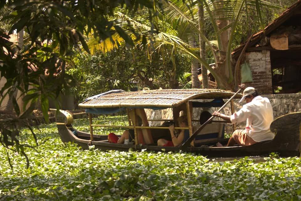 Canoe day tour in backwaters
