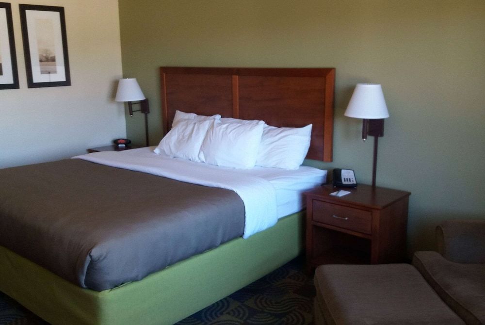 Room, 1 King Bed, Non Smoking
