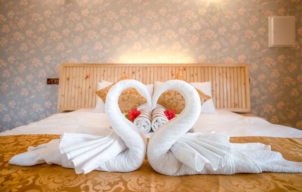 Ostrov Palm Villa Deluxe Double Room with Balcony 5