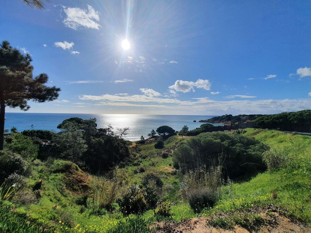 undefined Quinta Pedra dos Bicos 7