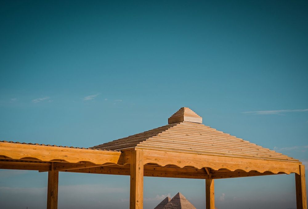 Desert Moon