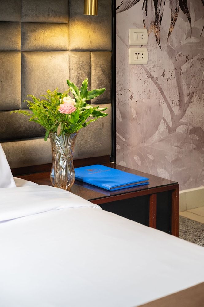 Cairo Capital Hotel Double Room 6