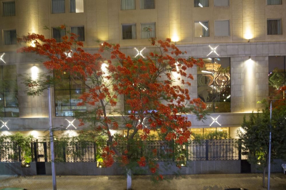 undefined Museum Plaza Hostel 7