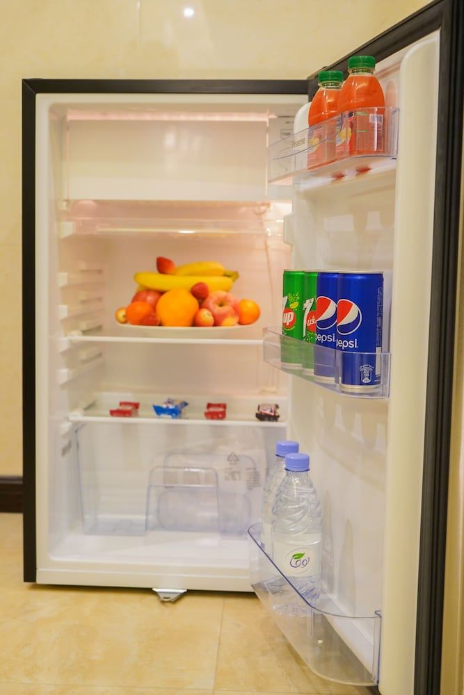 Mini-Refrigerator