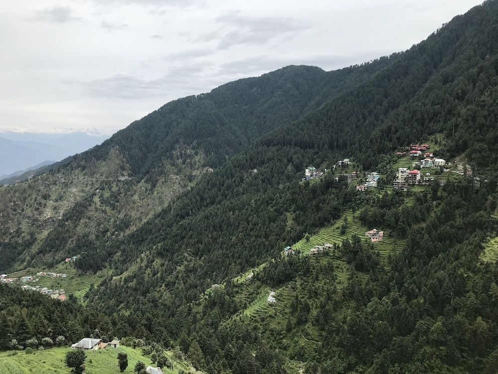 undefined Fortune Park Dalhousie 2