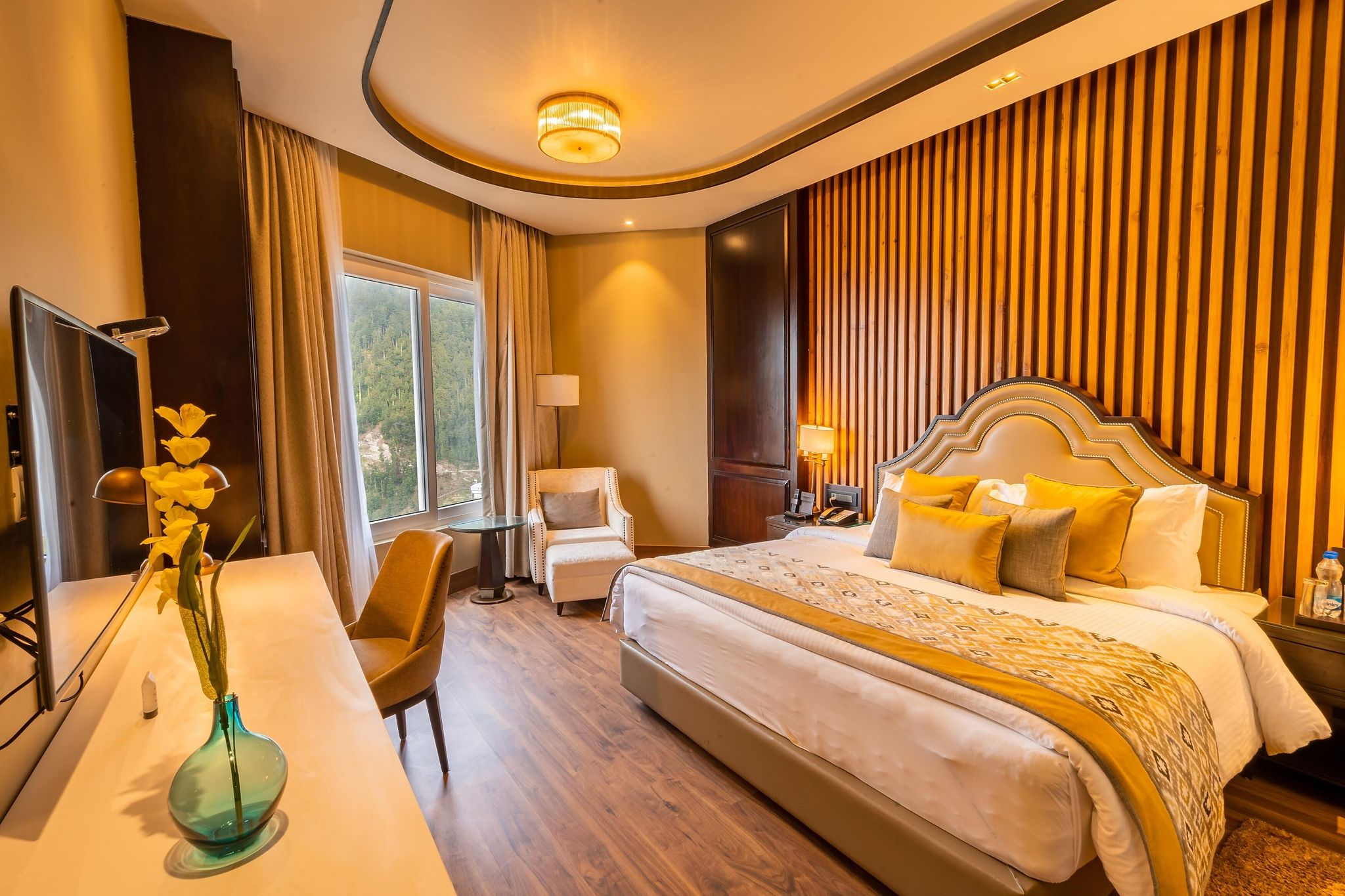 Fortune Park Dalhousie Deluxe Room, 1 King Bed, Mountain View (Deluxe Pine View room) 5
