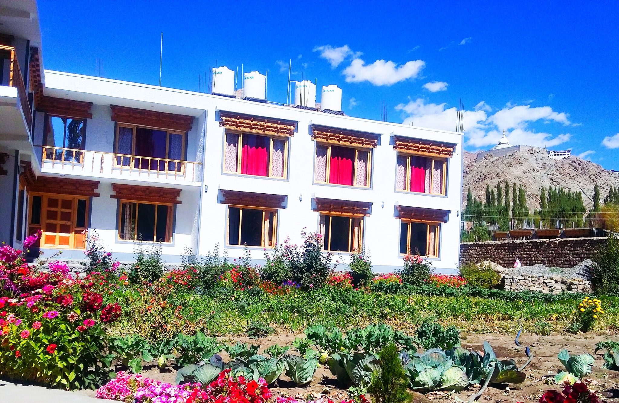 undefined Leh stumpa guest house 10