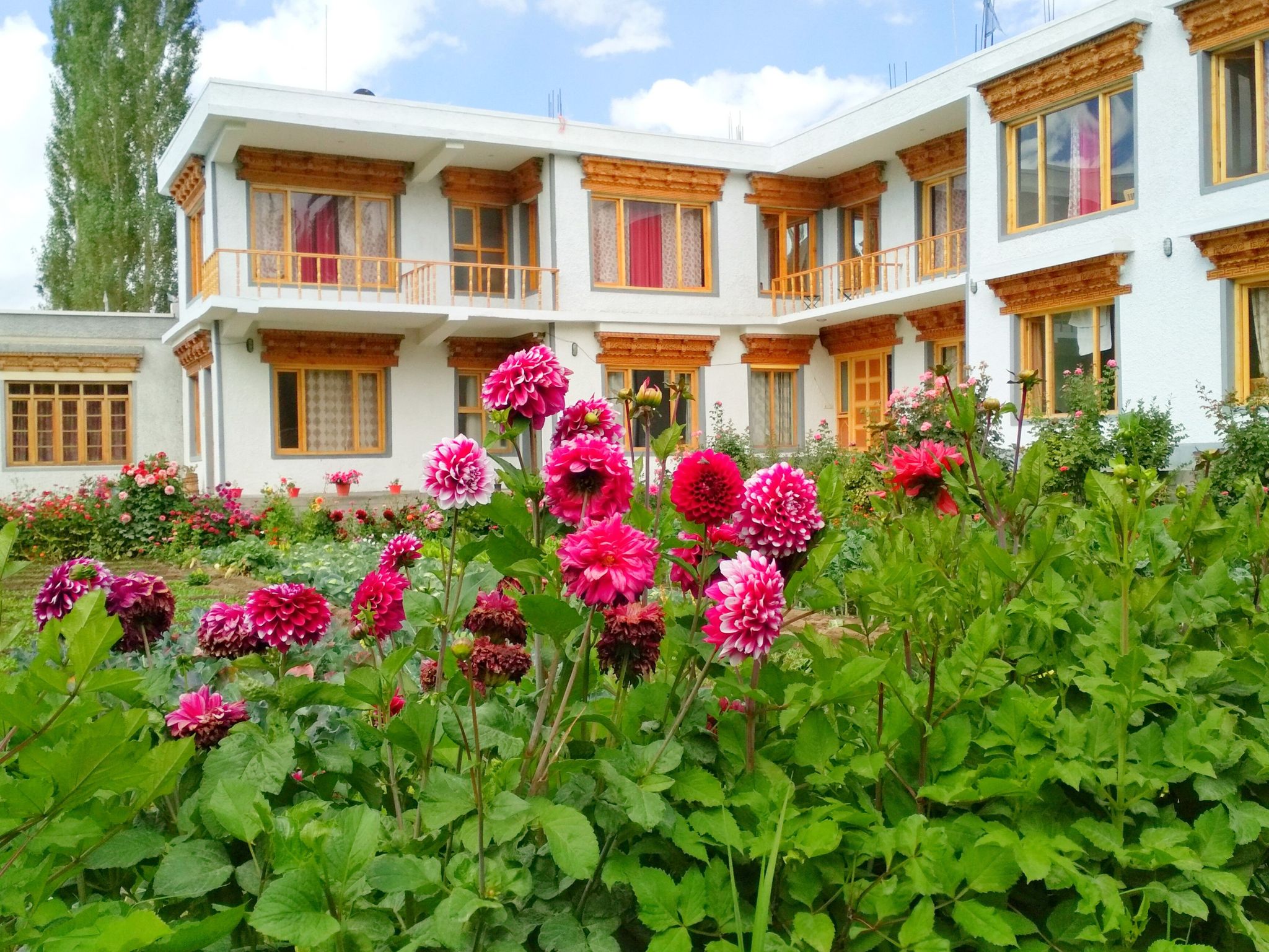 undefined Leh stumpa guest house 7