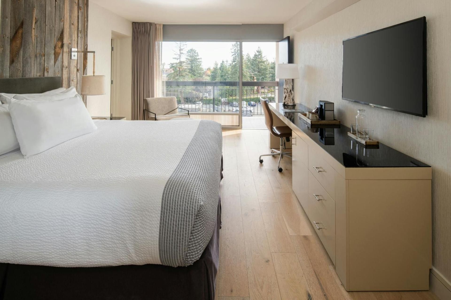 1 Bedroom Suite, 1 King Bed, Sofabed