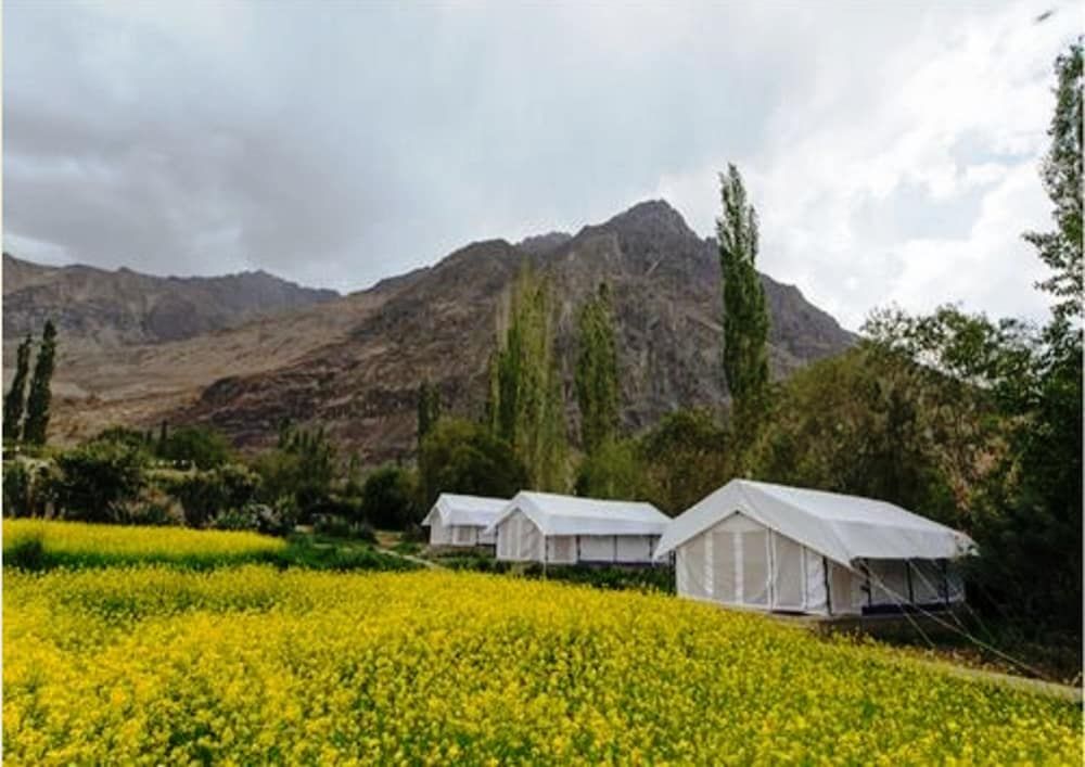 undefined TIH Magpie Camp 10