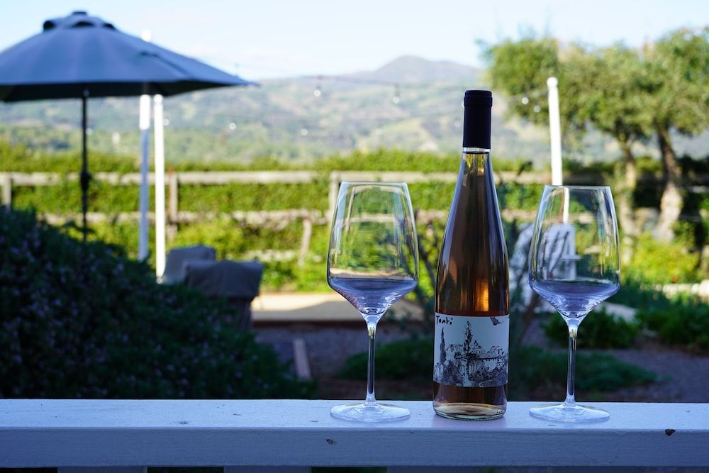 Geyserville Inn Executive Suite, 1 King Bed with Sofa bed, Vineyard View 4