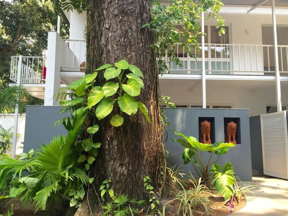 undefined Trinity At Fort Cochin