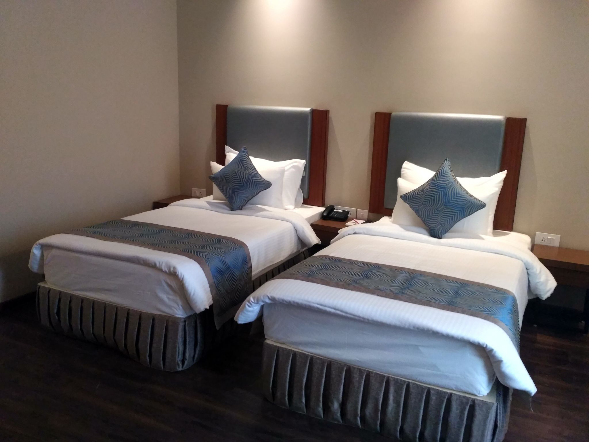 Pipul Padmaja Premium Hotel and Convention Executive Double or Twin AC