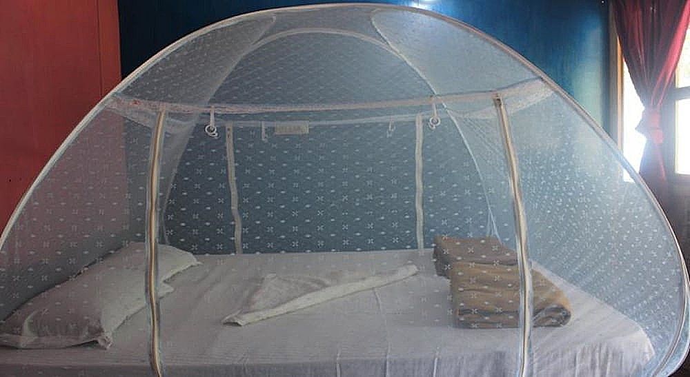 undefined Shiva Shakti Yoga Resort-Goa 2