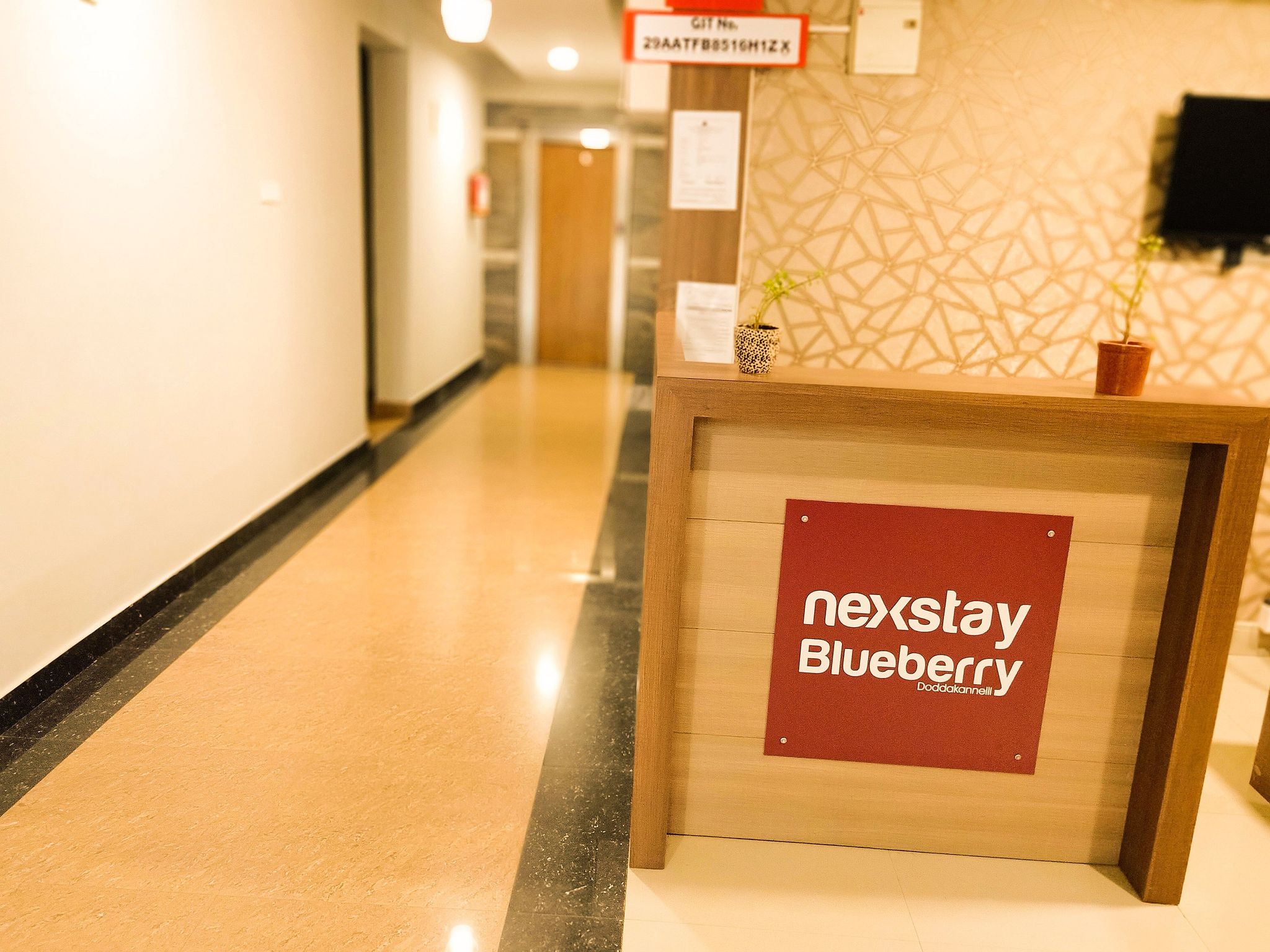 undefined Nexstay Blueberry 4