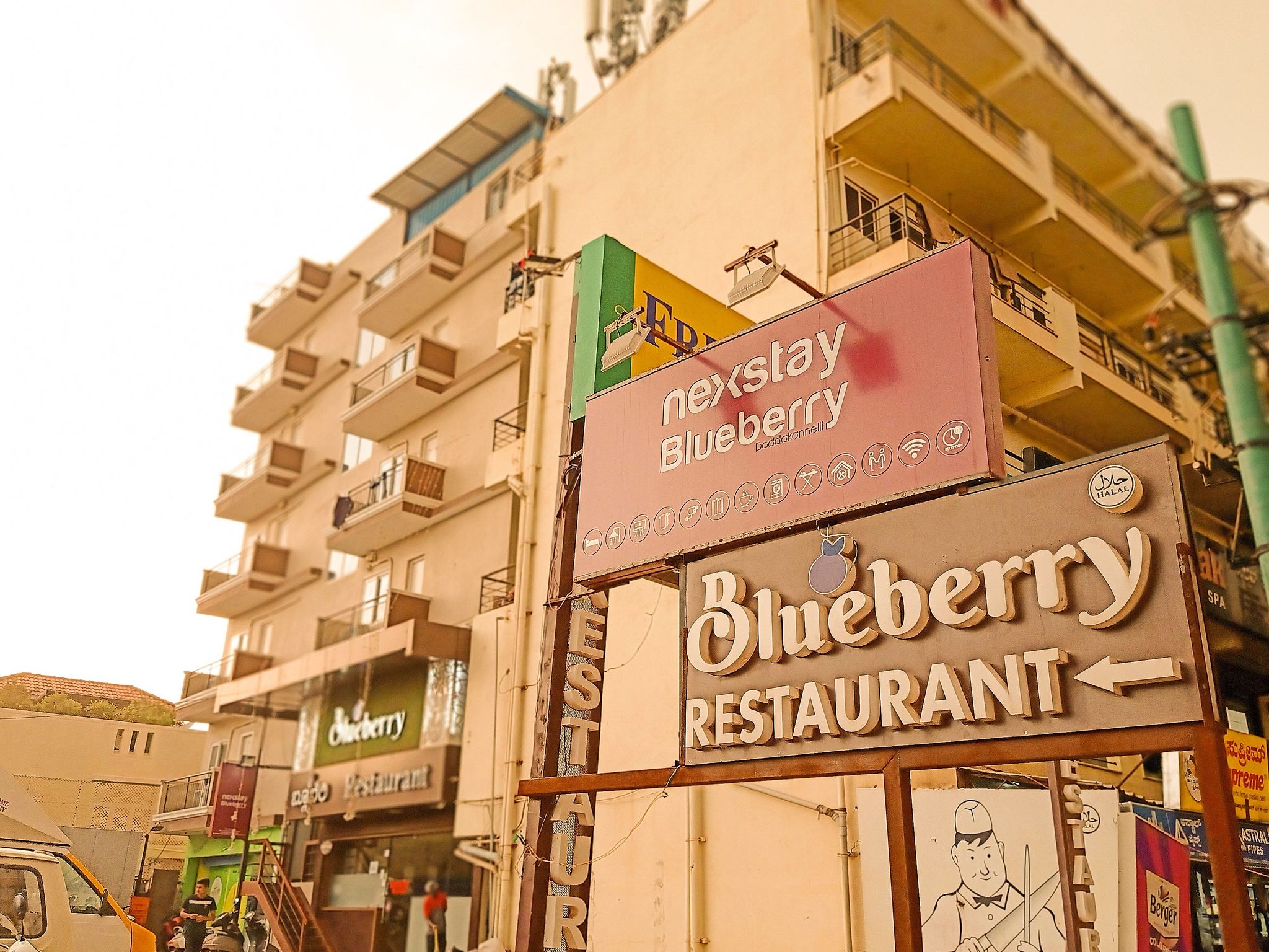 undefined Nexstay Blueberry 2