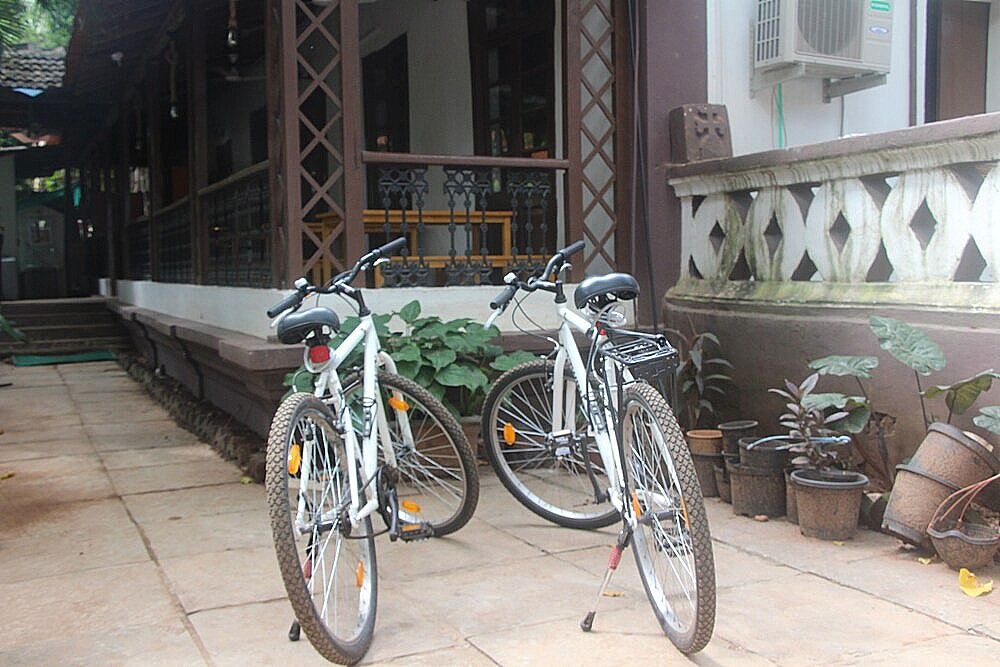 undefined goSTOPS Lite Goa, Calangute 10