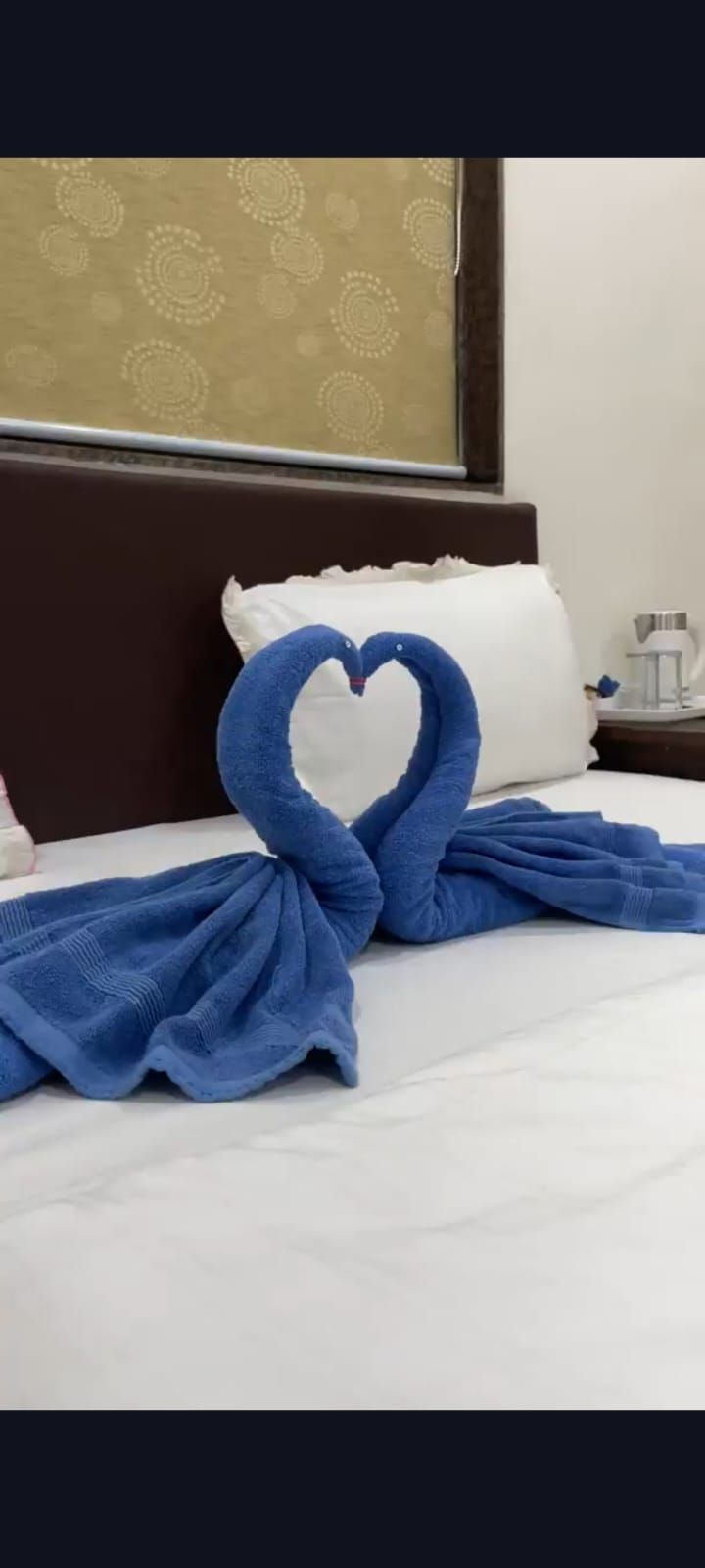 image_3935374_0f860c9c-2c31-49c9-be43-5afeb6fdb8a4