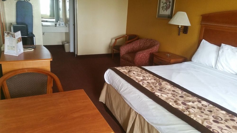 Room, 1 King Bed, Smoking