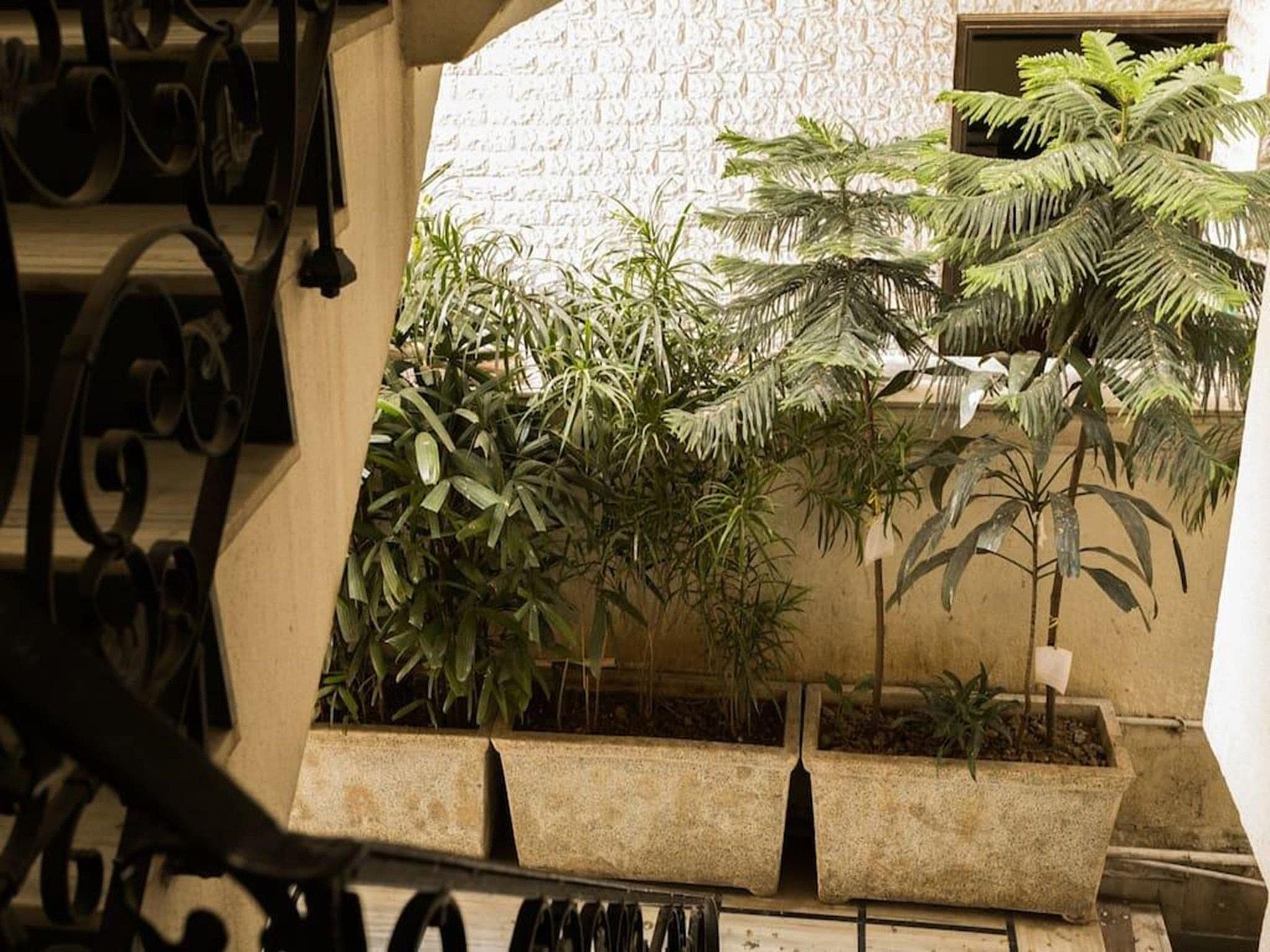 undefined Under My Roof Green Park 7