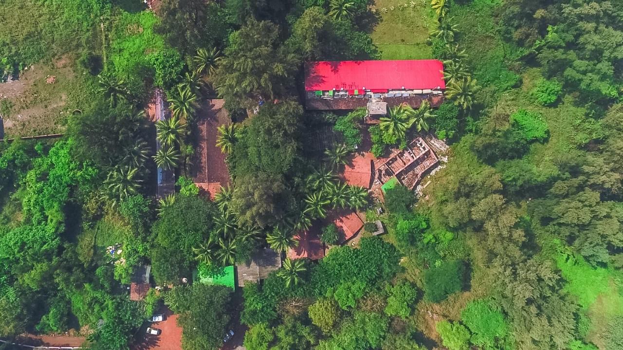 undefined Lotus A Eco Beach Resort Murud Dapoli 6