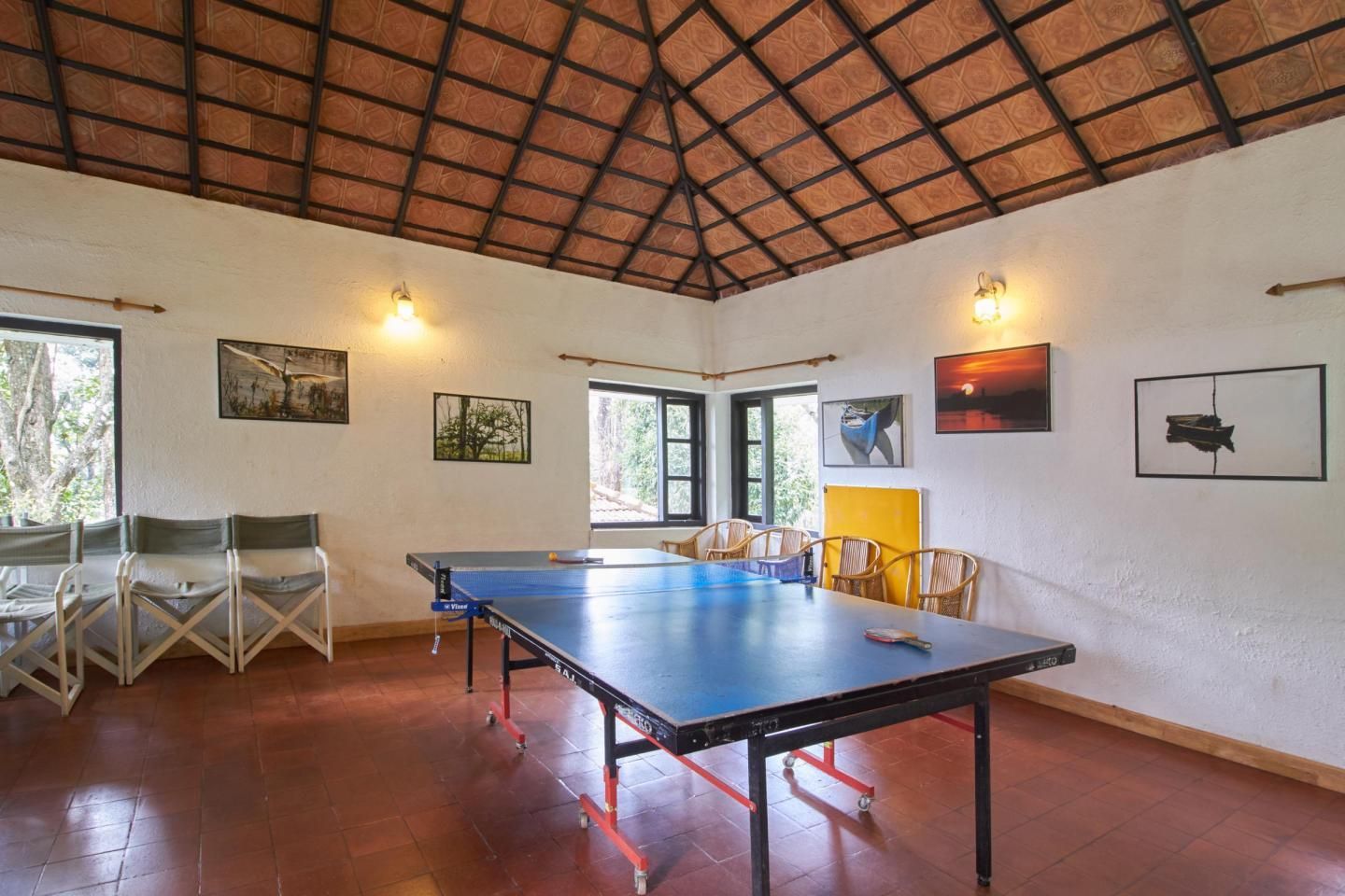 undefined The Tall Trees 4